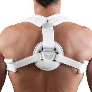 anneaux claviculaires