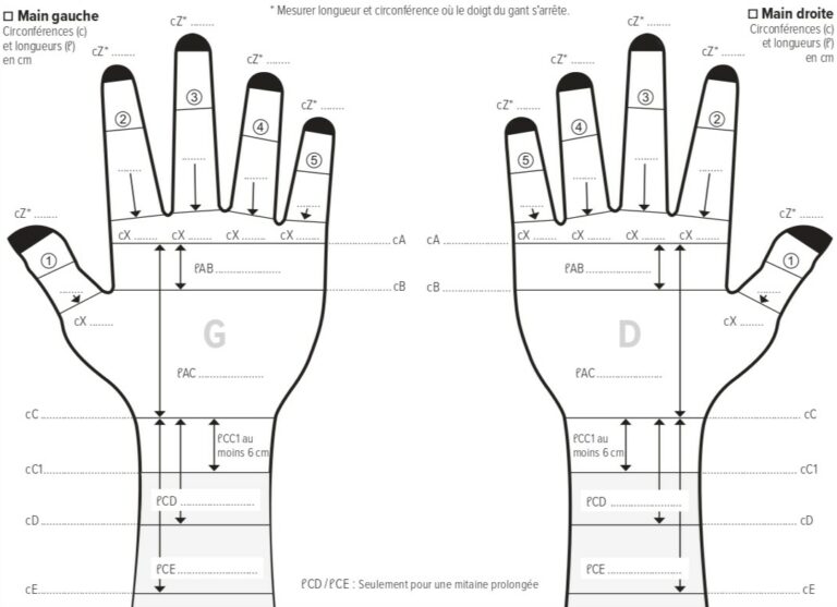 Extrait d'une fiche de prise de mesure - mains